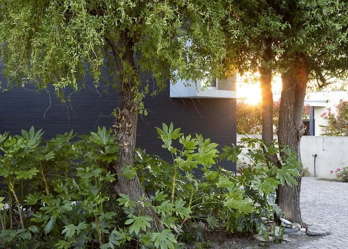 Villa Portugal Active Habito's *